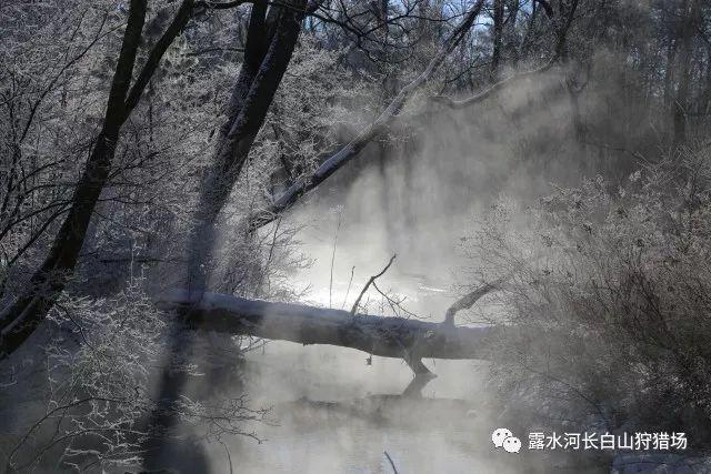 俄罗斯驻韩大使官邸哨所遭汽车撞击