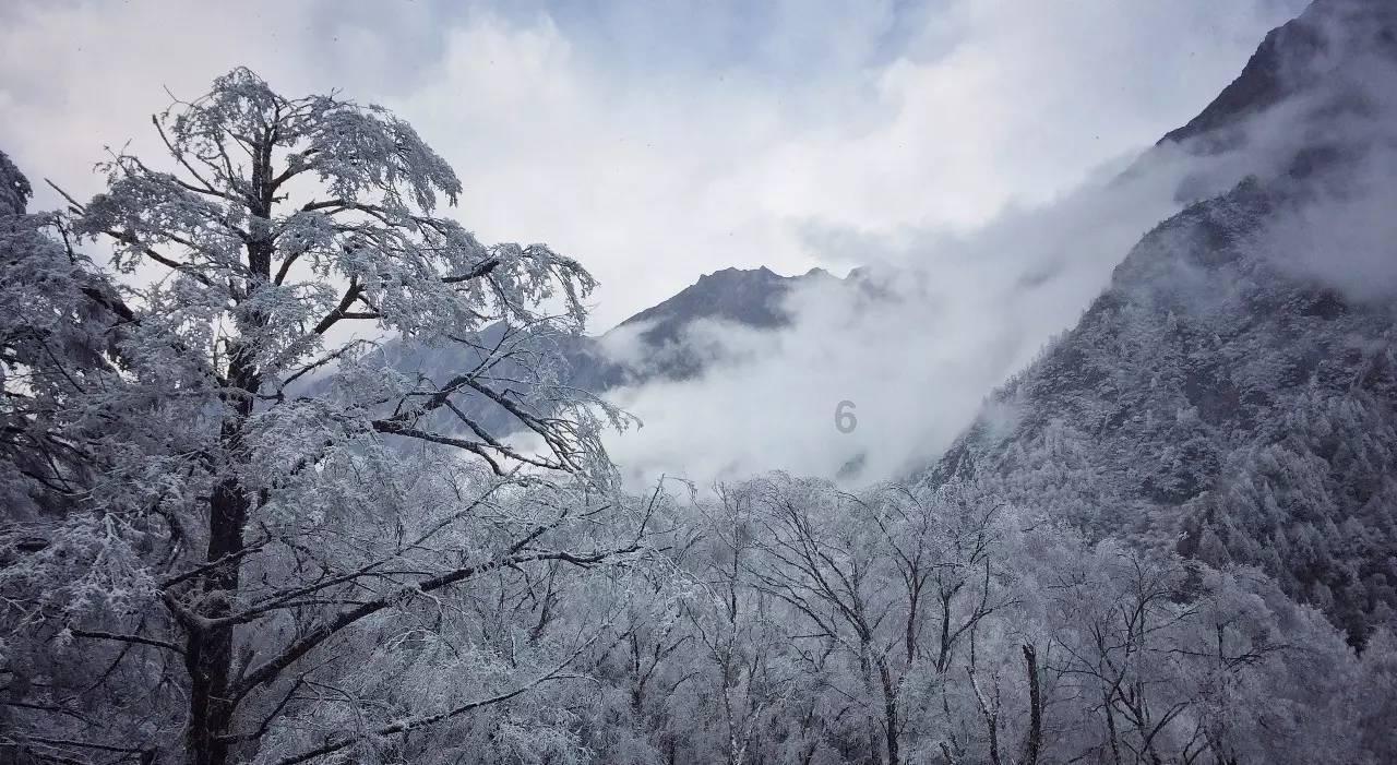 屠龙破晓