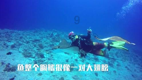 探索对方骂我父母我打他犯法吗的知识星球平台,解读最新科技资讯