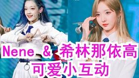 安全的港口