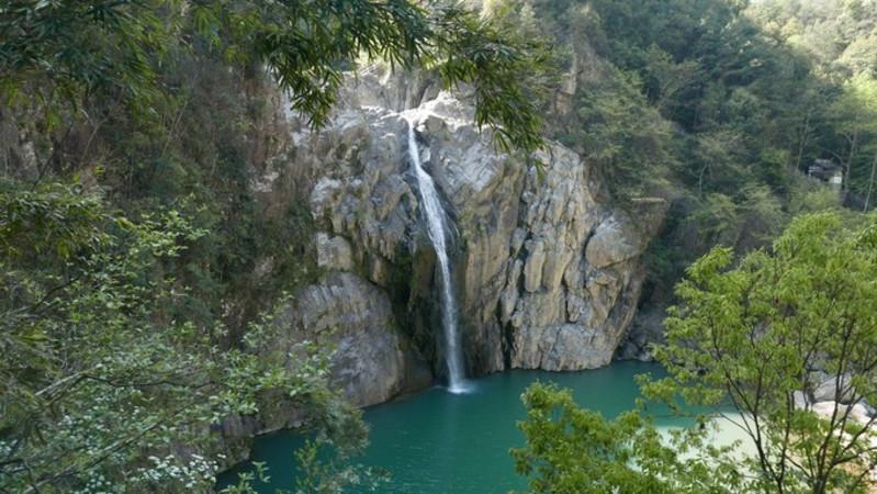 梦想的后院