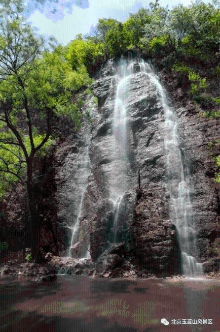针灸祛病痛，妙手巧扶伤——菏泽市三院康复医学中心骨伤康复获好评