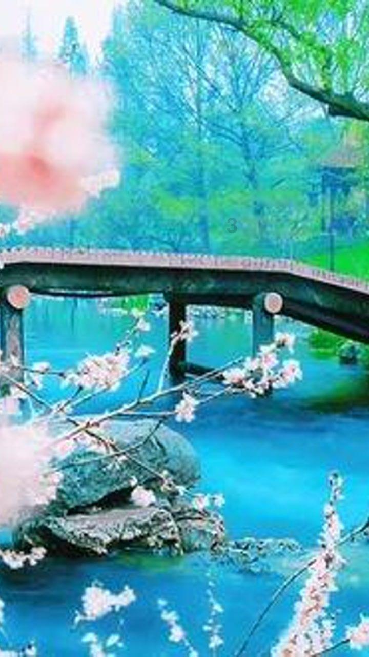 2月18日，泰森富里和乌西克重量级统一战，刘易斯任荣誉嘉宾